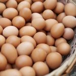 Vrijednost premašila 17 miliona KM: Izvoz jaja povećan za 84 odsto