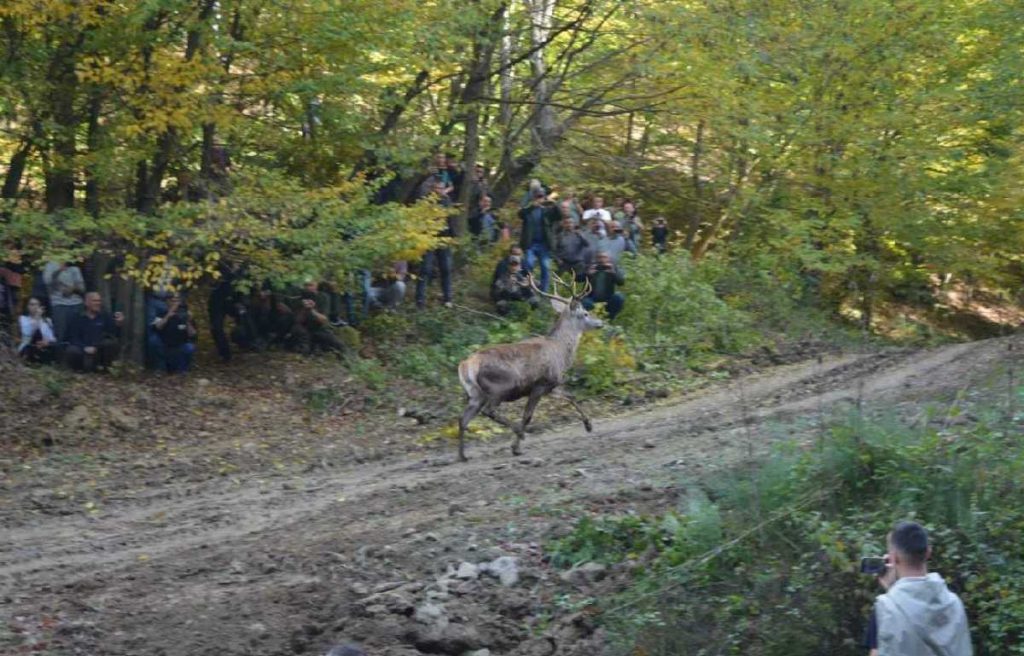 Lovci Majevice izabrali rukovodstvo za novi mandat: Goran Tasovac ostaje na čelu udruženja
