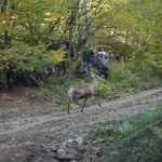 Lovci Majevice izabrali rukovodstvo za novi mandat: Goran Tasovac ostaje na čelu udruženja