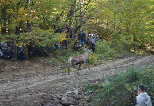 Lovci Majevice izabrali rukovodstvo za novi mandat: Goran Tasovac ostaje na čelu udruženja