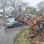 “Vrijeme je izuzetno opasno”: Snijeg okovao Hrvatsku, saobraćaj u haosu, drvo se srušilo na automobil
