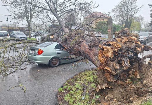 “Vrijeme je izuzetno opasno”: Snijeg okovao Hrvatsku, saobraćaj u haosu, drvo se srušilo na automobil