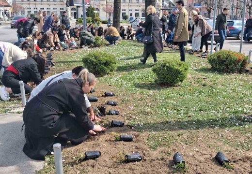U okviru ekološke akcije „Očistimo Bijeljinu“: Sadnja ruža u centru grada (Foto)
