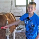 BiH: “Drugovi dođu pred moju štalu i kažu nećemo unutra, smrdi” (Video)