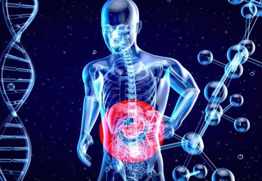 Tihi krivci bolesti: Ove namirnice mogu ozbiljno oštetiti vaša crijeva