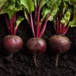 Zdravlje: Ova namirnica je prava “metla” za crijeva i regeneriše jetru dok spavate