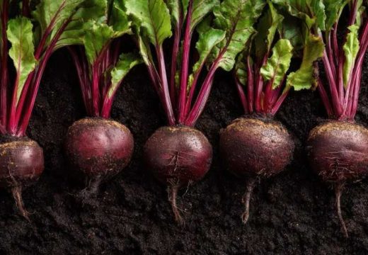 Zdravlje: Ova namirnica je prava “metla” za crijeva i regeneriše jetru dok spavate