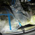 Novi detalji akcije “Brazil”: Odredište 50 kilograma skanka bio skriveni štek u Gradišci