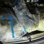 Detalji akcije “Brazil”: Poznata imena uhapšenih u Gradišci