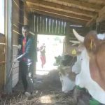 RS: Zašto je mladi magistar umjesto državnog posla izabrao selo i krave (Video)