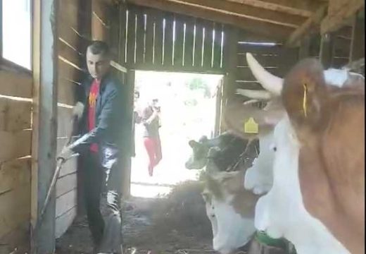 RS: Zašto je mladi magistar umjesto državnog posla izabrao selo i krave (Video)