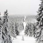 Zimska idila u aprilu: Snijeg prekrio Zlatibor i Kopaonik (Video)