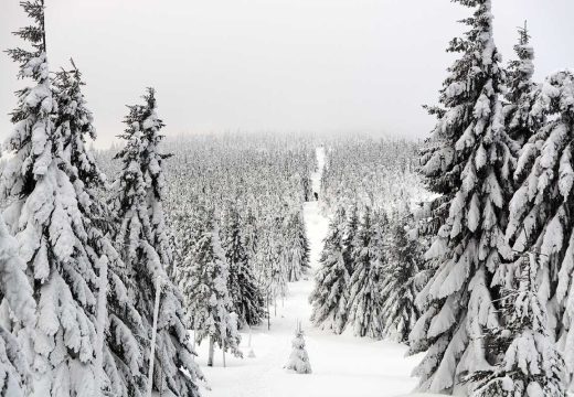 Zimska idila u aprilu: Snijeg prekrio Zlatibor i Kopaonik (Video)