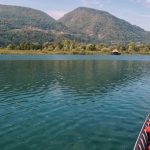 Jezivi prizori na obali Drine: Pronađeno 10 uginulih svinja