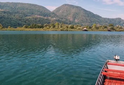 Jezivi prizori na obali Drine: Pronađeno 10 uginulih svinja