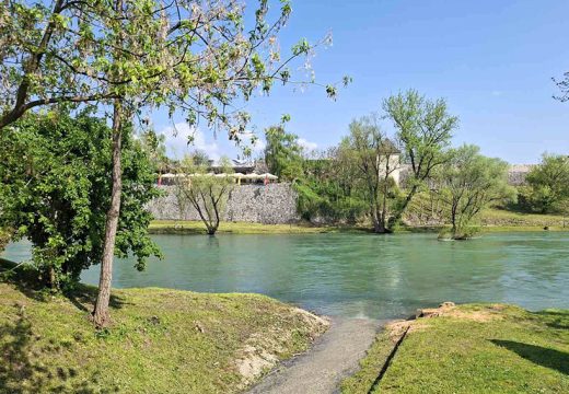 “Vode Srpske”: Nismo dali saglasnost za sječu stabala uz rijeku Vrbas u Banjaluci