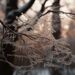 Toplo pa ledeno: Evo kada stiže naglo zahlađenje