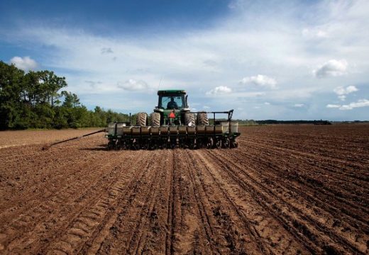 Ministarstvo poljoprivrede: Isplaćeni podsticaji za poljoprivrednu proizvodnju