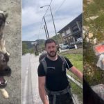 Humanost: Pješke od Čelinca do Hilandara; 1.100 km za 33 dana, još tri do cilja (Video)