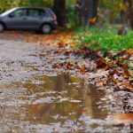 Proljeće nije onakvo kakvo smo zamišljali: Sutra pljuskovi sa grmljavinom