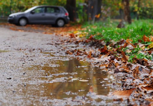 Proljeće nije onakvo kakvo smo zamišljali: Sutra pljuskovi sa grmljavinom