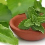 5 znakova da je vrijeme za presađivanje biljke u veću saksiju