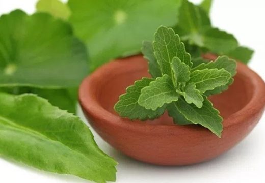 5 znakova da je vrijeme za presađivanje biljke u veću saksiju