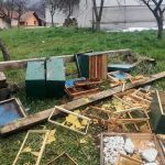 Medvjed napravio haos u BiH: Uništen pčelinjak i košnice (Foto/Video)