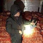 Drama na granici: U kamionu među drvima pronađeno 38 migranata (Video)