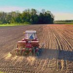 Sjetva kukuruza u Semberiji: Kukuruz i ove godine dominantna kultura