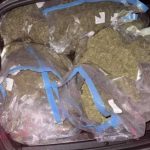 Hapšenja u akciji “Brazil” u Gradišci: Oduzeto 50 kilograma skanka