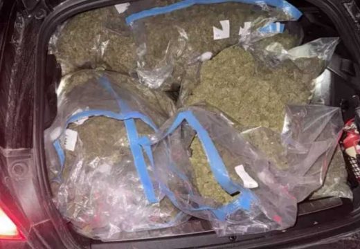 Hapšenja u akciji “Brazil” u Gradišci: Oduzeto 50 kilograma skanka