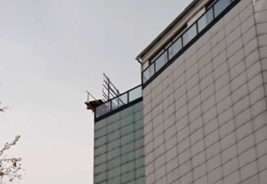 Region: Pala skela sa tržnog centra u Novom Sadu, povrijeđena žena (Video)