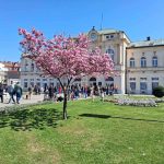 Sunčano i toplo: Lazareva subota u Bijeljini (Foto)