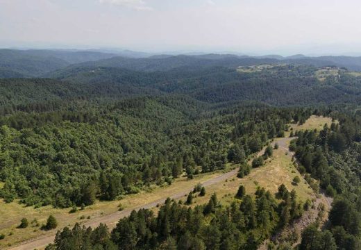 Referendum u Petrovu: Građani sutra odlučuju o geološkim istraživanjima metala na Ozrenu