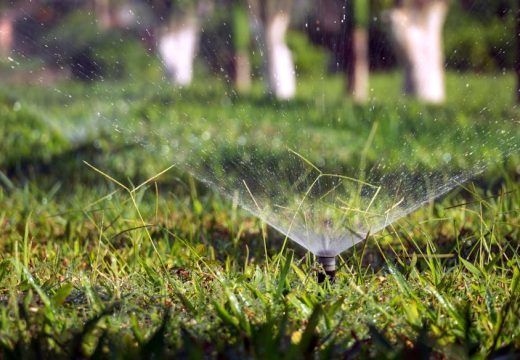 Prirodni zeleni tepih: Trik kako da vaš travnjak bude gust, zdrav i savršeno zelen tokom cijelog ljeta