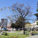 Turistička organizacija: Besplatna vožnja panoramskim točkom danas u Bijeljini