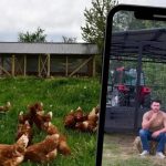 Kokošinjac na točkovima: Nova investicija mladog farmera iz Bijeljine (Video)