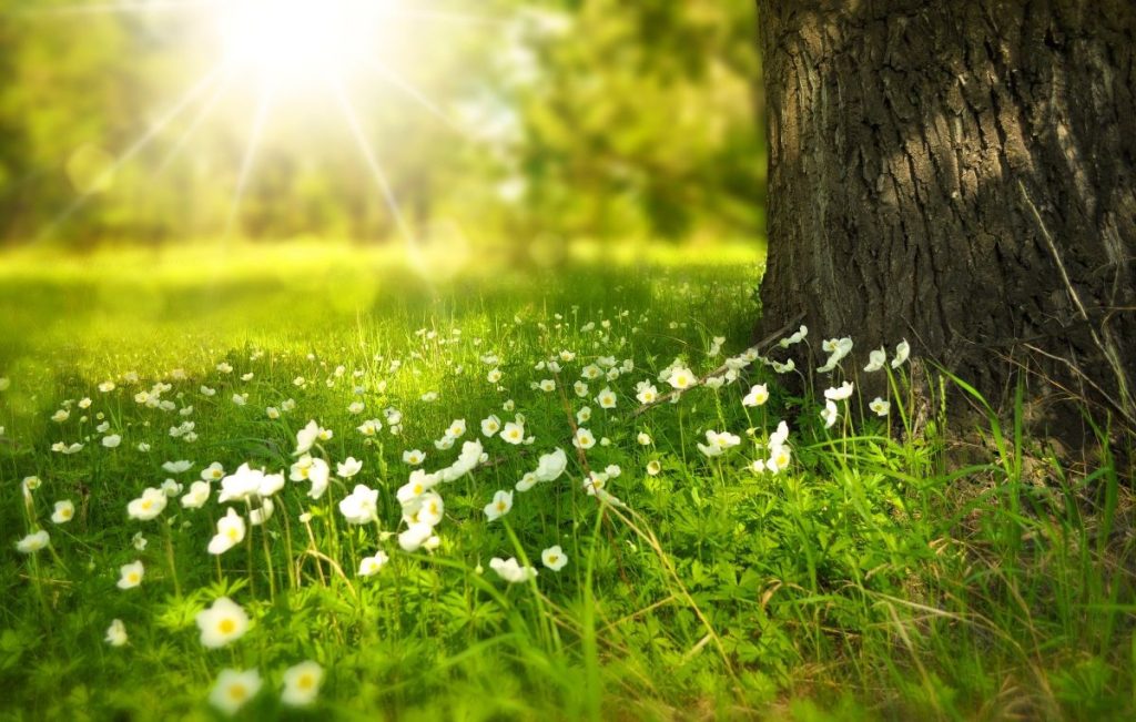 Sunce preuzima dan: Temperatura danas ide do 25 stepeni