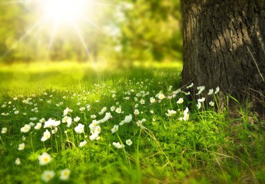 Sunce preuzima dan: Temperatura danas ide do 25 stepeni
