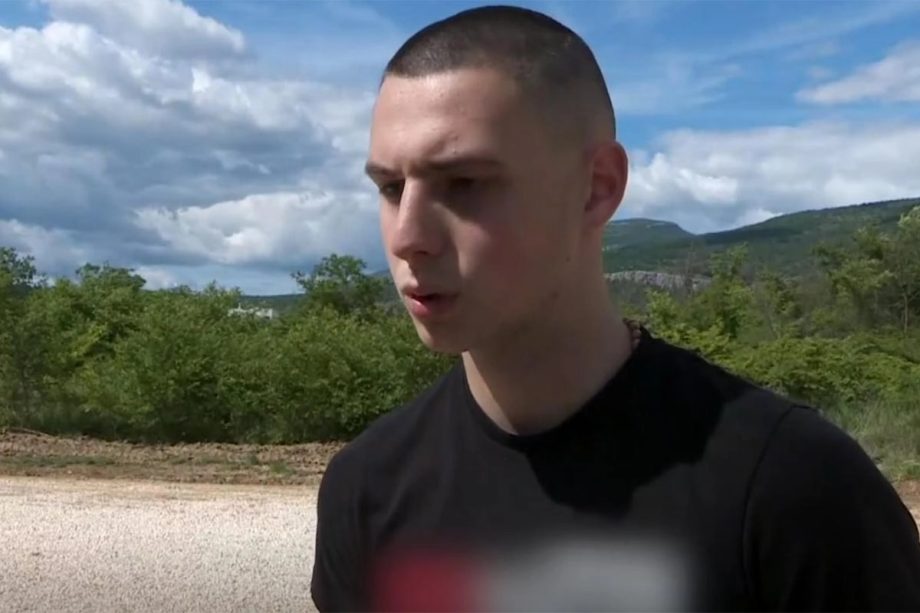 Aleksić
