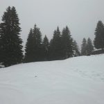 MEĆAVA KAO DA JE DECEMBAR: Snijeg usred maja okovao ovaj dio Srbije (Video)