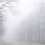 Vozači, pažljivo: Magla smanjuje vidljivost, poseban oprez za ovim pravcima