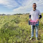 Kada se za porodični biznis odabere uzgoj ruža: Opojni miris ružinih latica širi se Semberijom