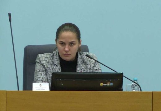 NS RS: Anja Ljubojević imala pravo 24 sata na vozilo