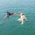 Nesvakidašnja scena u Dalmaciji: Delfin se pridružio kupačima (Video)
