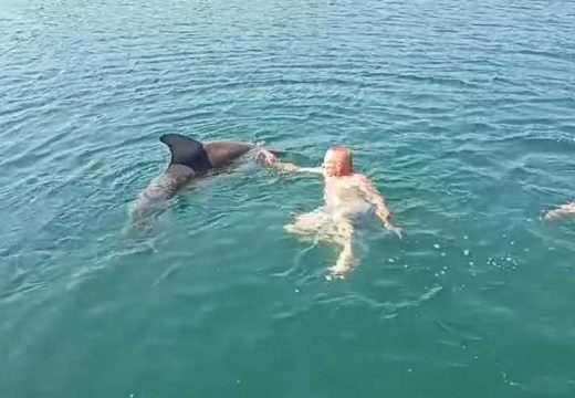 Nesvakidašnja scena u Dalmaciji: Delfin se pridružio kupačima (Video)
