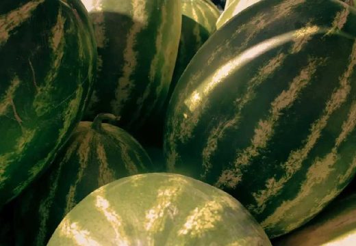 Savjeti: Kako prepoznati i odabrati slatku lubenicu prilikom kupovine