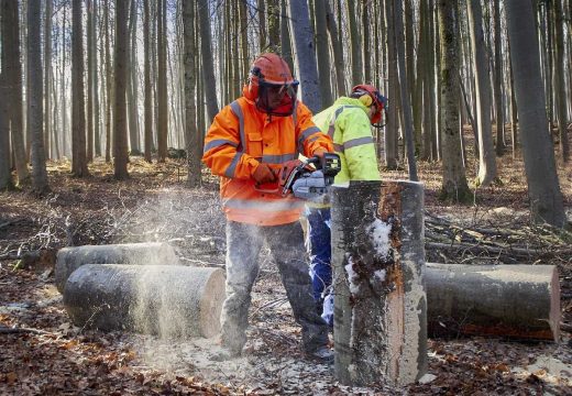 Zbog cijene goriva: Izvođačima radova u „Šumama“ dodatnih 4,8 miliona maraka