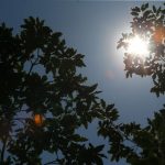 Neka kišobran bude uz vas: Evo kakvo vrijeme nas očekuje danas
